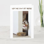 I WANT TO SAY **HAPPY BIRTHDAY** TO "YOU" NOW!!!!! CARD<br><div class="desc">SEND IT TODAY!!!!! REALLY,  THIS CARD IS JUST TOO FUNNY DON'T YOU THINK??? ANYONE YOU KNOW WILL GET A "KICK" OUT OF THIS CUTE KITTEN. THANKS FOR STOPPING BY TODAY!</div>