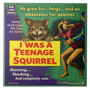 I was a teenage squirrel tile