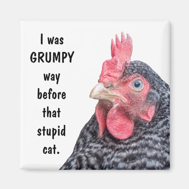 I was GRUMPY Way Before the Stupid Cat. Magnet (Front)