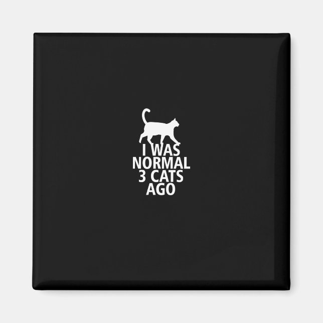 i was normal 3 cats ago magnet (Front)