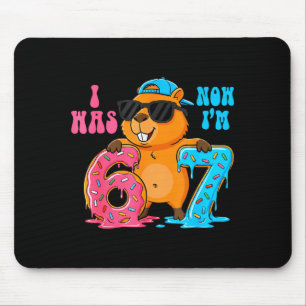 I Was Six Now I'm Seven 6 7 Capybara 67 Meme 7th B Mouse Pad