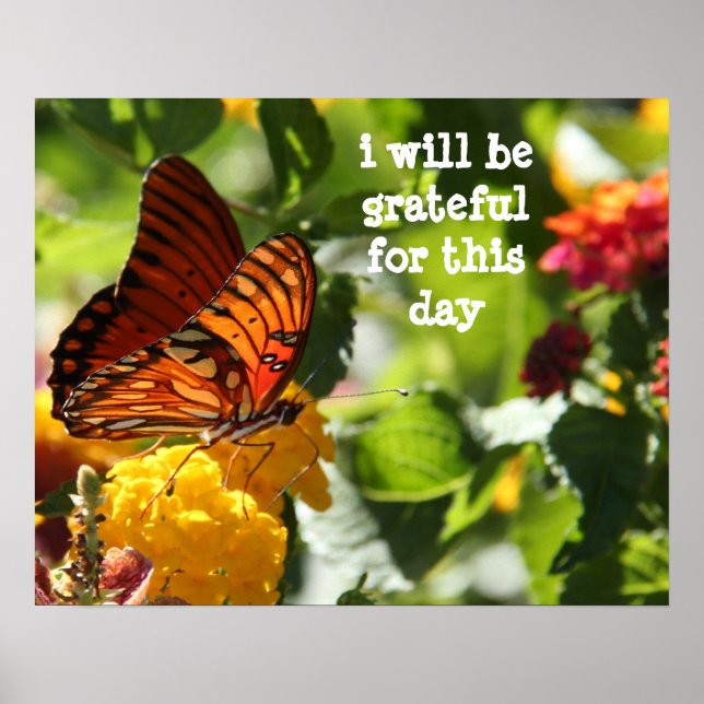 i will be grateful for this day, butterfly poster (Front)