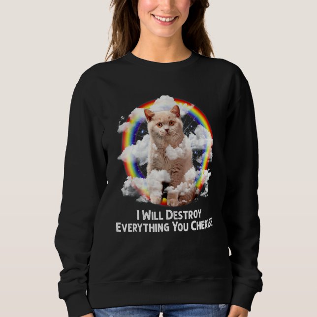 I Will Destroy Everything You Cherish Cat Rainbow  Sweatshirt (Front)