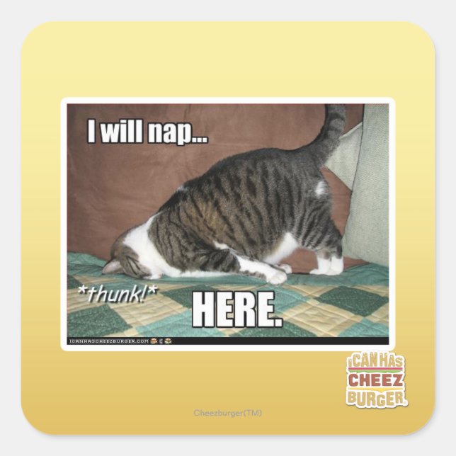 I will nap here square sticker (Front)