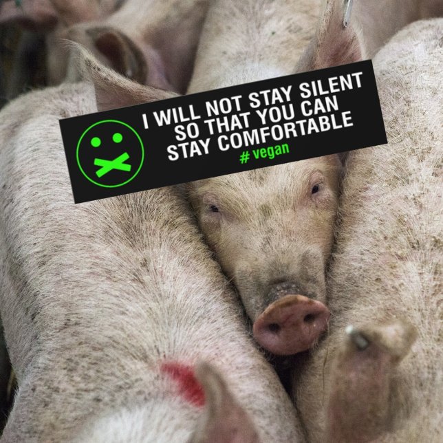 I Will Not Stay Silent, Car Decal (Creator Uploaded)