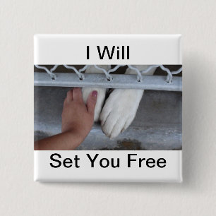I Will Set You Free Button