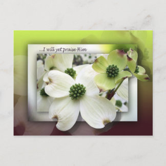 I Will Yet Praise Him Postcard