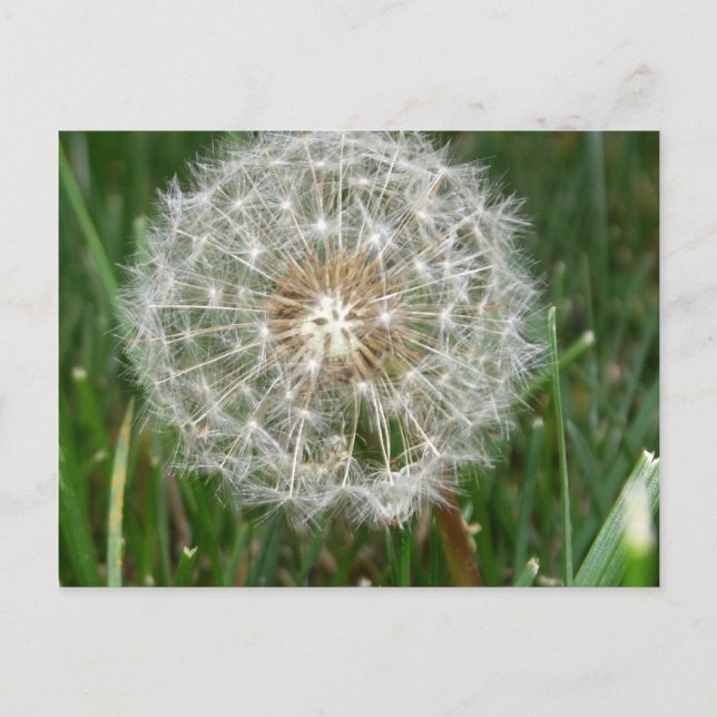 I wish you were here postcard (Front)