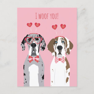I Woof You Great Dane Dogs Pink Red Postcard