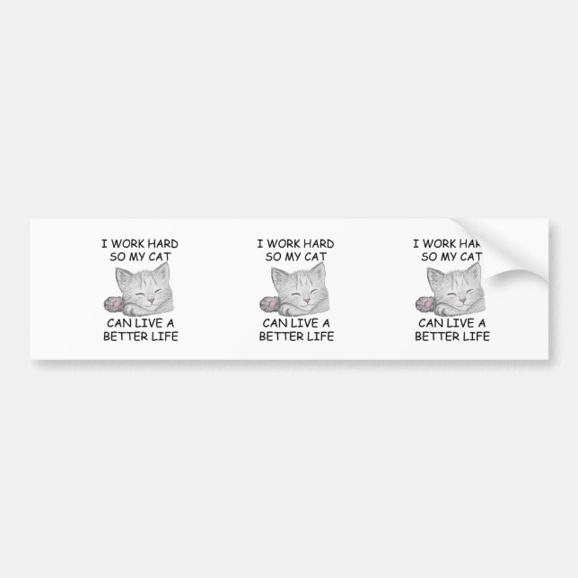 I Work Hard Bumper Sticker (Front)