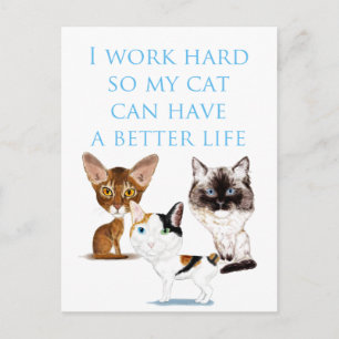 I Work Hard Postcard