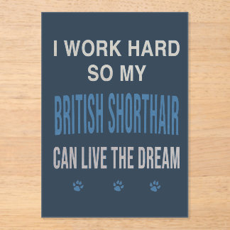 I Work Hard So My British Shorthair Acrylic Invitations