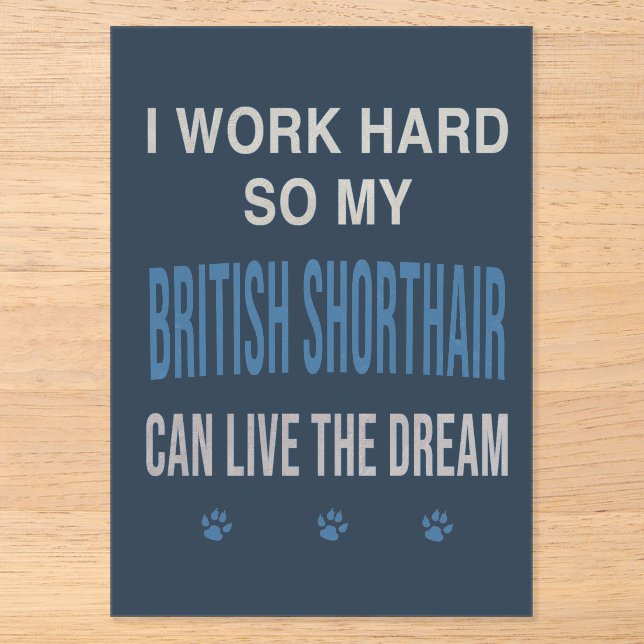 I Work Hard So My British Shorthair Acrylic Invitations (Front)
