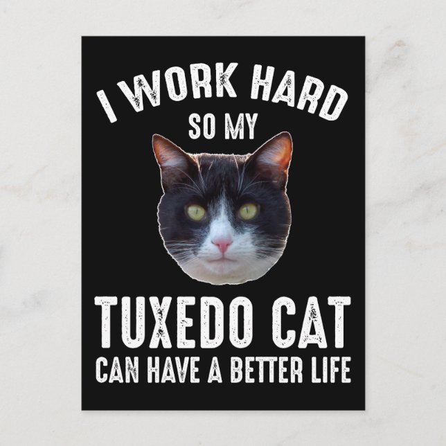 I Work Hard So My Tuxedo Cat Can Have Better Life Postcard (Front)