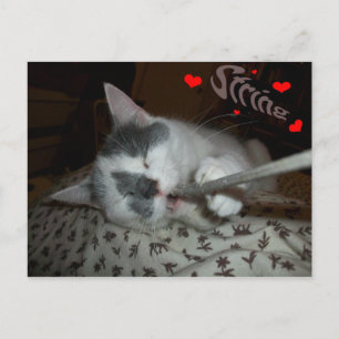 I WUV My String Postcard