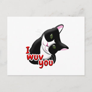 I wuv you Cat Postcard