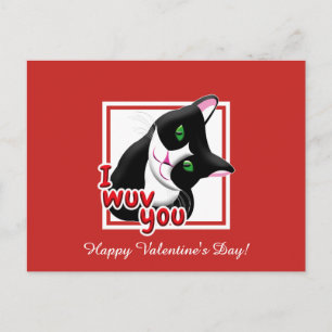 I Wuv You Valentines's Day Cat Postcard