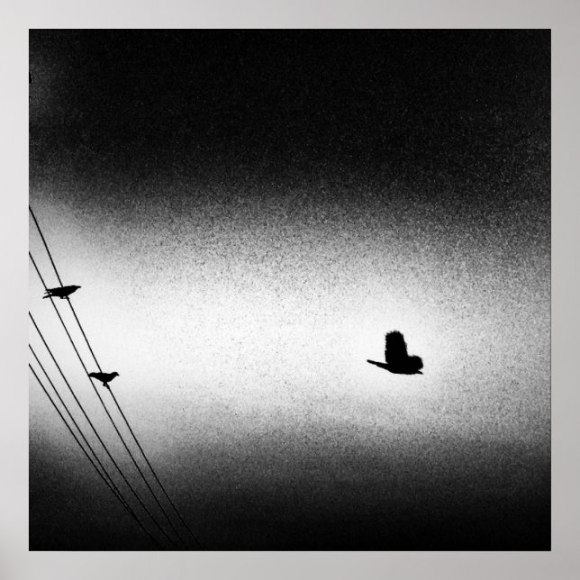 Ianiverse Noir (The Mission) Poster (Front)