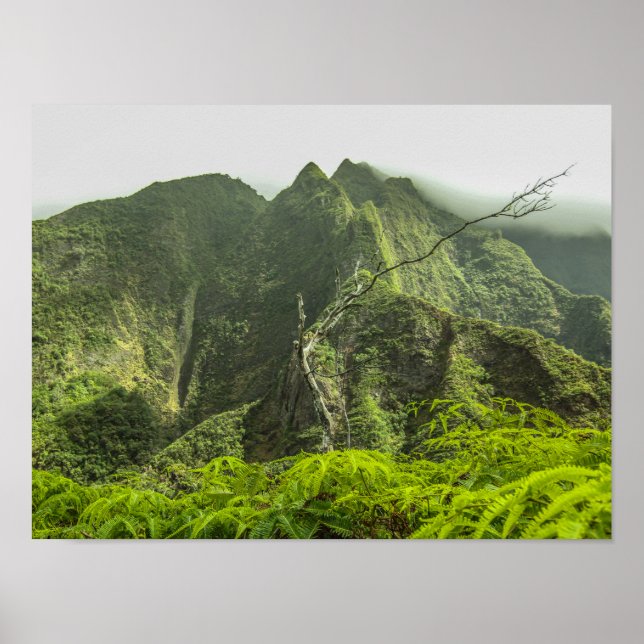 Iao Valley Poster (Front)