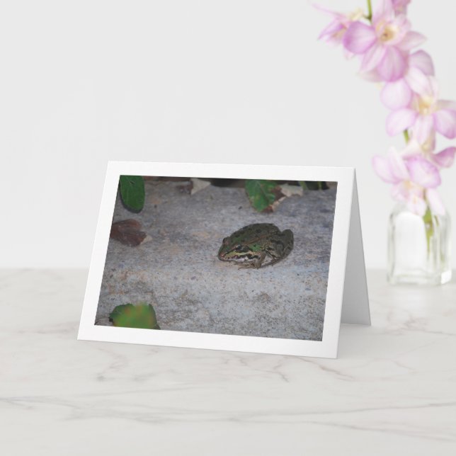 Iberian Frog Card (Orchid)