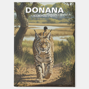 Iberian Lynx in Donana National Park Travel Magnet