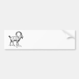 Ibex Bumper Sticker