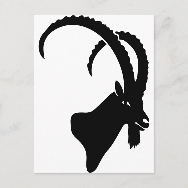 ibex capricorn steinbock mountain goat sheep climb postcard (Front)