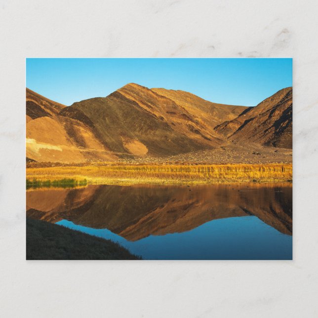 Ibex Hills Reflection Postcard (Front)