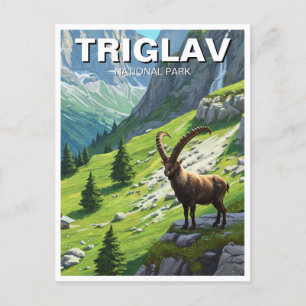 Ibex in Triglav National Park Slovenia Travel Postcard