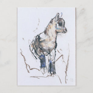 Ibex Kid Postcard