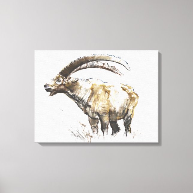 Ibex Noasca Canvas Print (Front)