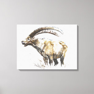 Ibex Noasca Canvas Print