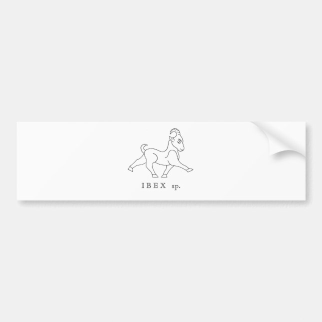 Ibex sp. Boquetin Bumper Sticker (Front)