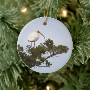 Ibis Bird Ornament