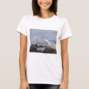 Ibis birds on the shore of Florida Bay T-Shirt