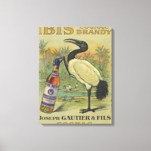 Ibis Cognac - Joseph Gautier & Fils Promo Canvas Print