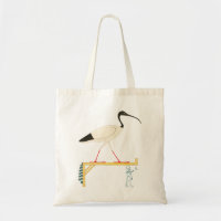 Ibis Illustration & Thoth Hieroglyphic T-Shirt