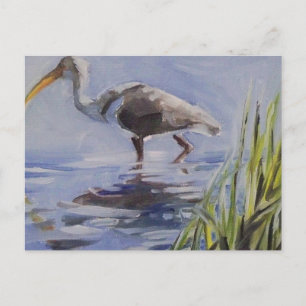 Ibis in Grassy Marsh Postcard