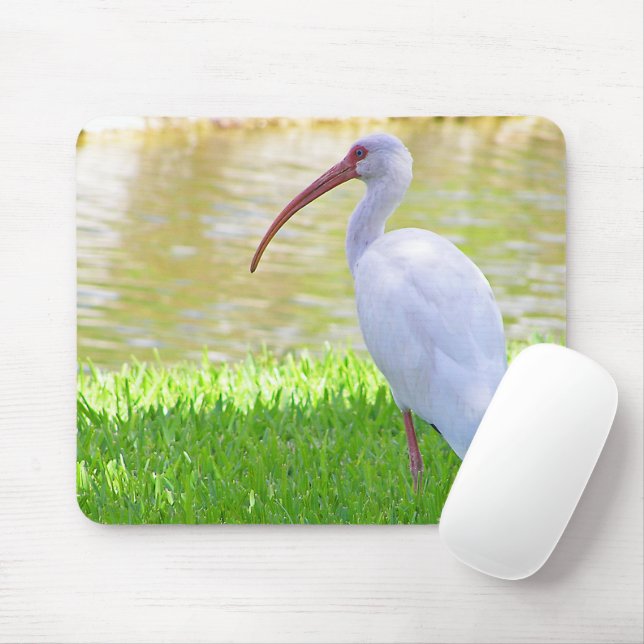 Ibis On One Leg Photograph Mouse Pad (With Mouse)