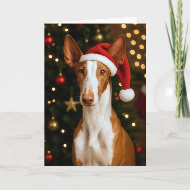 Ibizan Hound Holiday Card (Front)