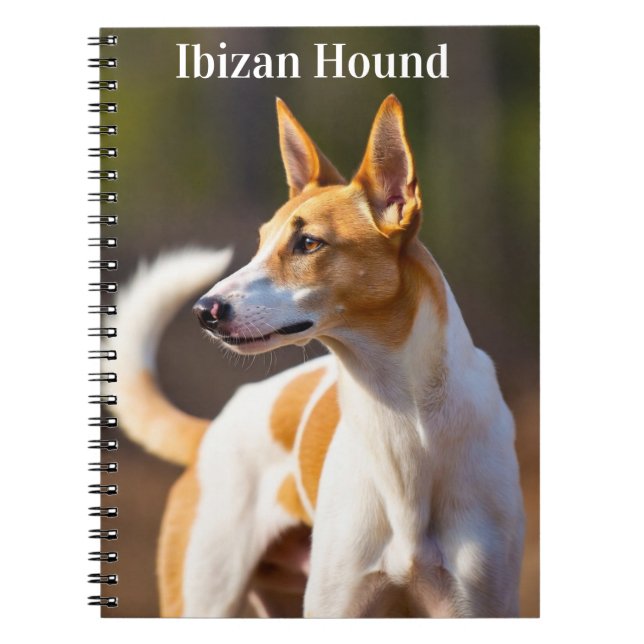 Ibizan Hound Notebook (Front)