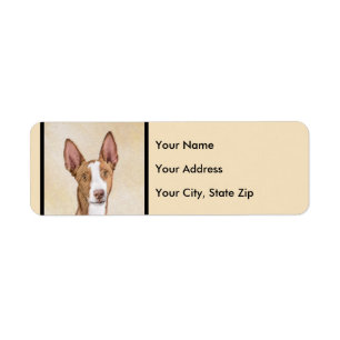 Ibizan Hound Painting - Cute Original Dog Art