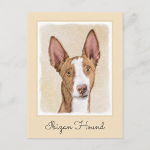 Ibizan Hound Painting - Cute Original Dog Art Postcard