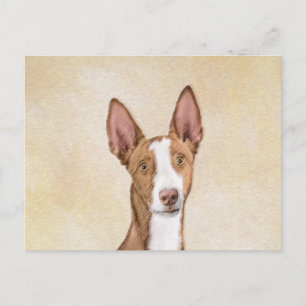 Ibizan Hound Painting - Cute Original Dog Art Postcard