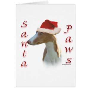 Ibizan Hound Santa Paws