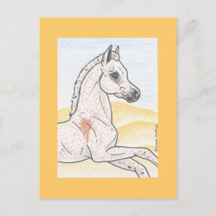 Ibn Shai Hulud Postcard