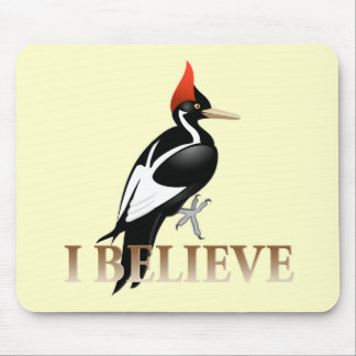 IBWO: I Believe Mouse Pad