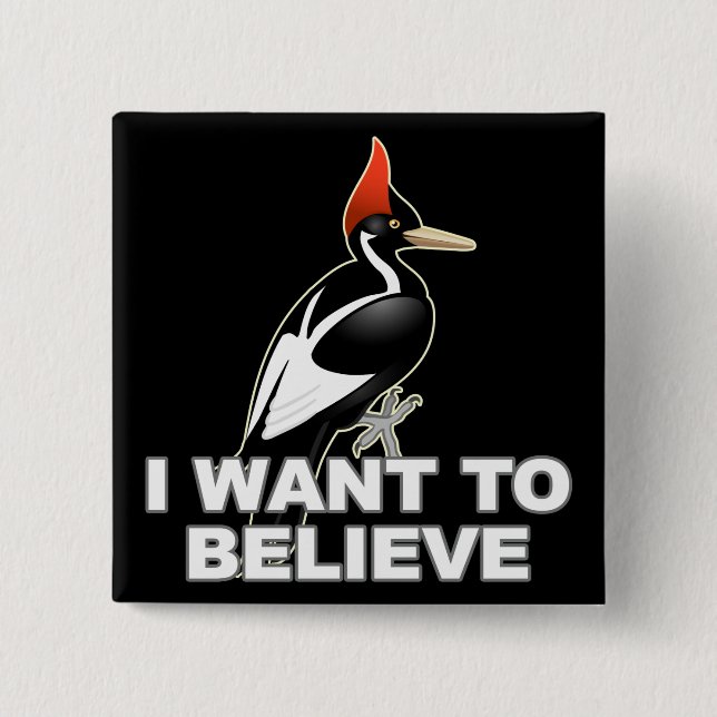 IBWO: I Want To Believe 15 Cm Square Badge (Front)