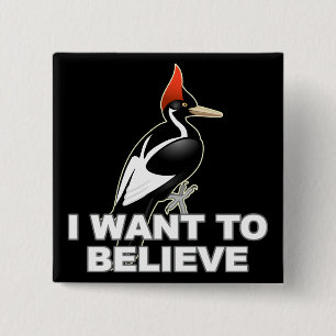 IBWO: I Want To Believe 15 Cm Square Badge