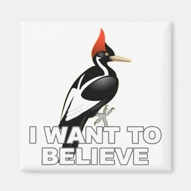 IBWO: I Want To Believe Magnet (Front)